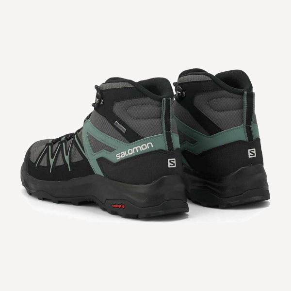 Ботинки DAINTREE MID GTX  (8.5 (41); Magnet/Black/BalsGreen)